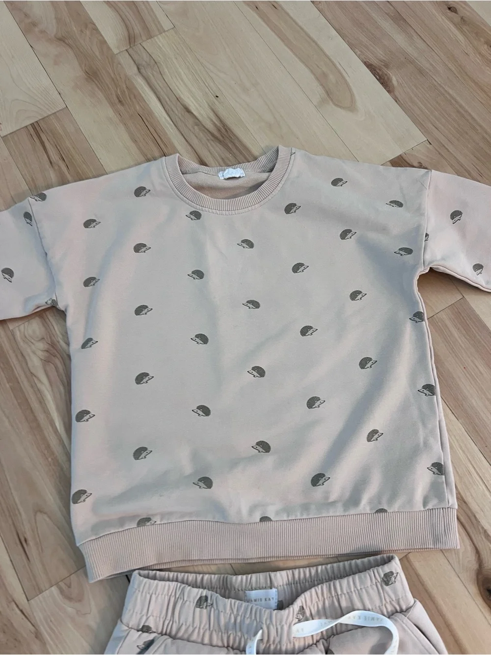 Jamie Kay Beige Sweatshirt & Jogger Set with Gray      Hedgehog Print